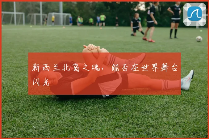 新西兰北岛之魂,能否在世界舞台闪光