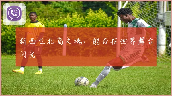新西兰北岛之魂，能否在世界舞台闪光