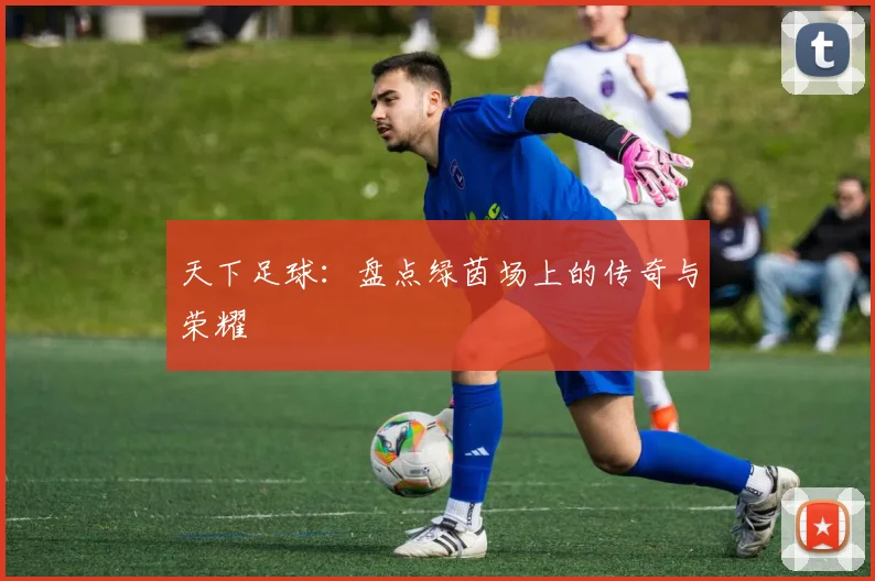 天下足球：盘点绿茵场上的传奇与荣耀